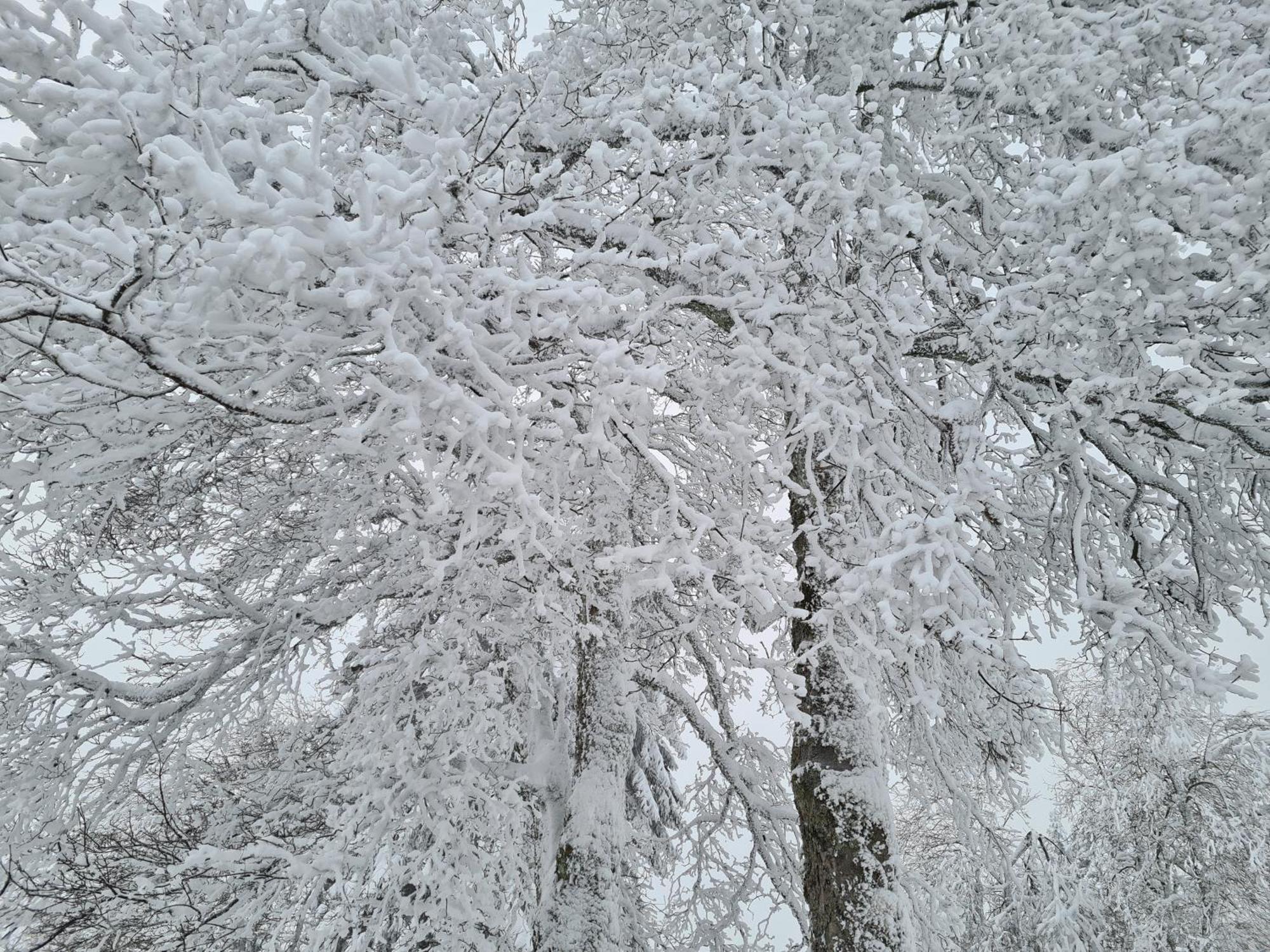 Harzbeat Apartment Braunlage Bagian luar foto